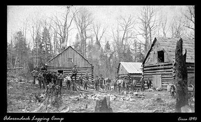 Logging Camp