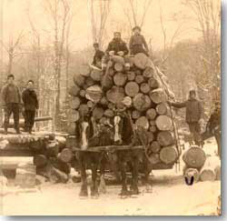 Logging